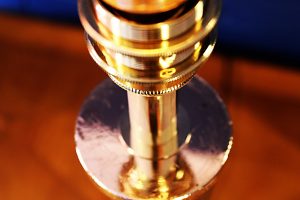 Brass copper fire branch table lamp for sale 12