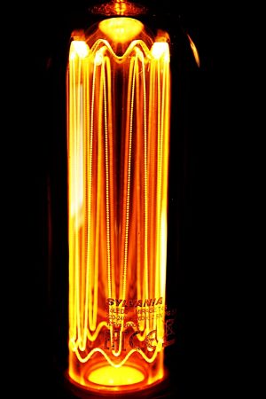 Brass copper fire branch table lamp for sale 14