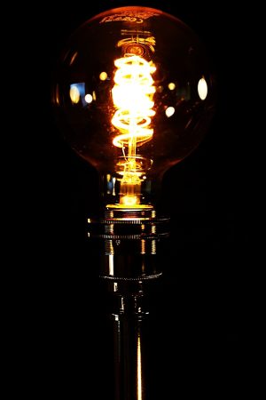 Merryweather Fire Branch Table Lamp for sale 9