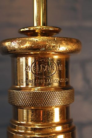 Brass Elgon Fire Branch Table Lamp 6